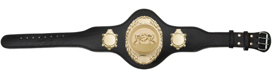 GRAPPLING CHAMPIONSHIP BELT-PLT286/G/GRAPG-4 COLOURS